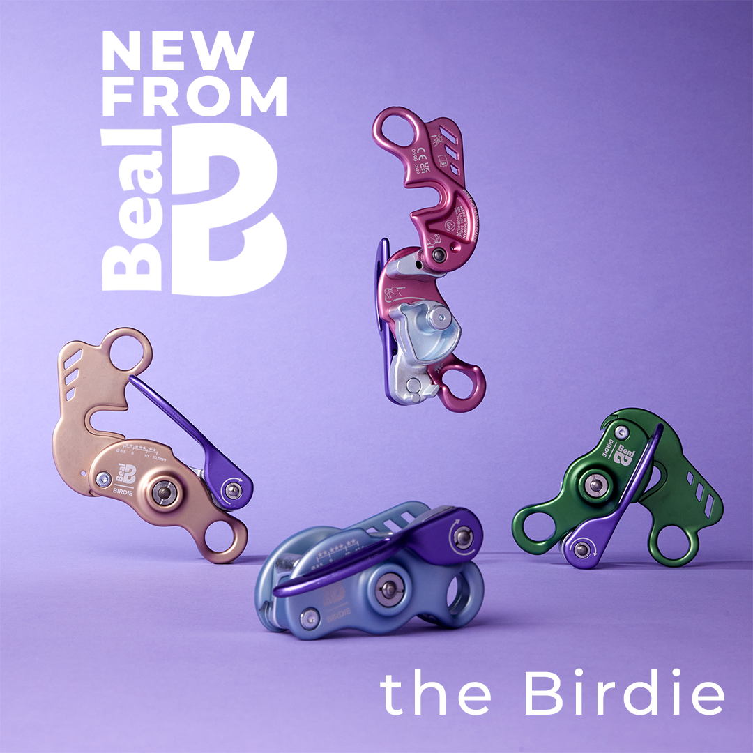 birdie mobile