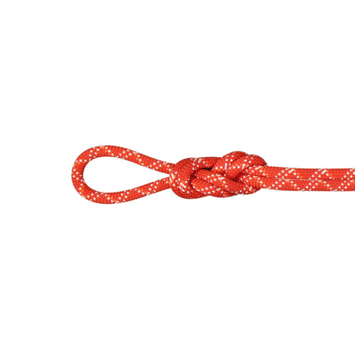 Mammut Gym Classic 9.5mm Raspberry/White 40m Climbing Rope