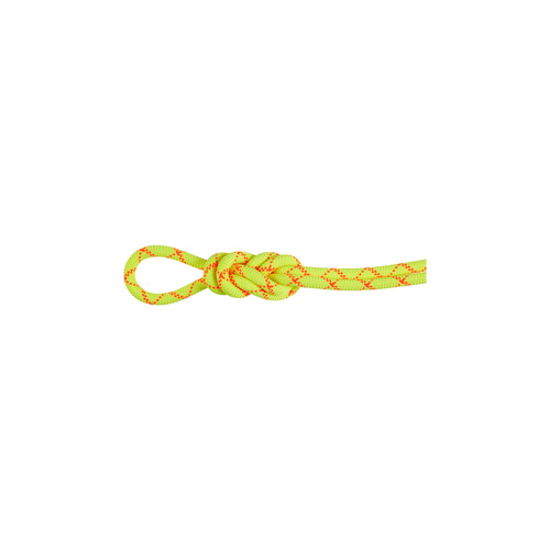 Mammut Alpine Core Protect Dry 9.5mm 60m Climbing Rope