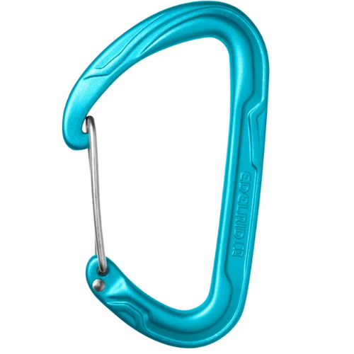 Edelrid Pure Wire III Clipgate Carabiner Icemint