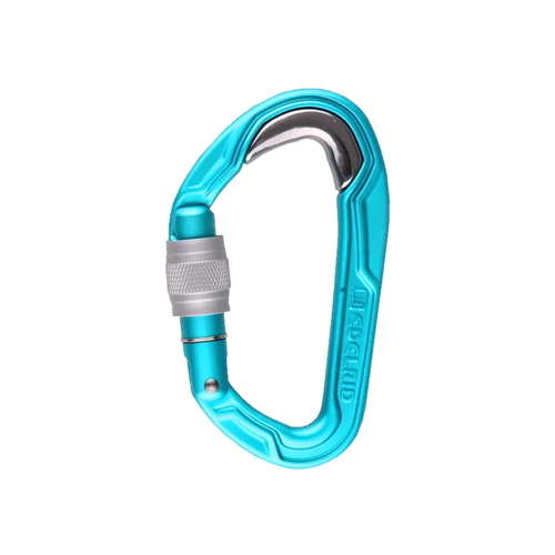 Edelrid Bulletproof II Screwgate Carabiner Icemint