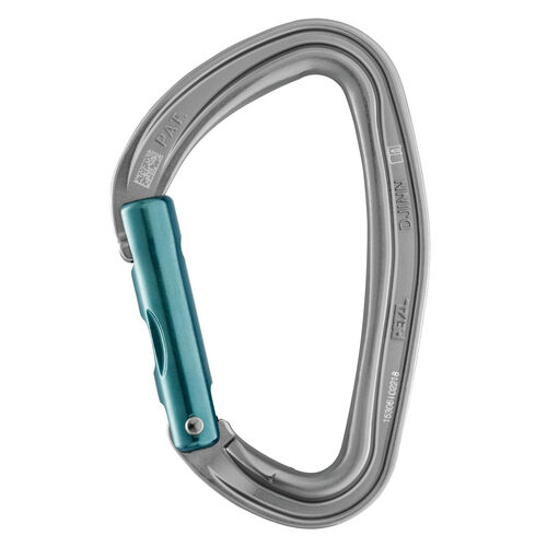 Petzl Djinn Carabiner Straight Gate Gray