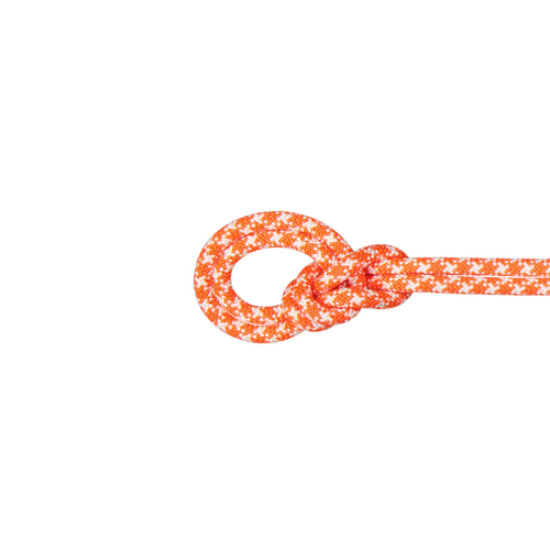 Mammut Crag Classic 9.5mm 60m Climbing Rope