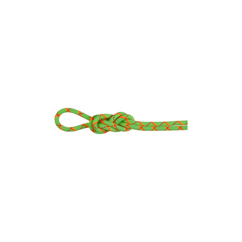 Mammut Alpine Core Protect Dry 8mm 70m Climbing Rope