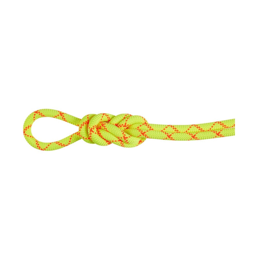 mammut-alpine-core-protect-dry-9-5mm-60m-climbing-rope