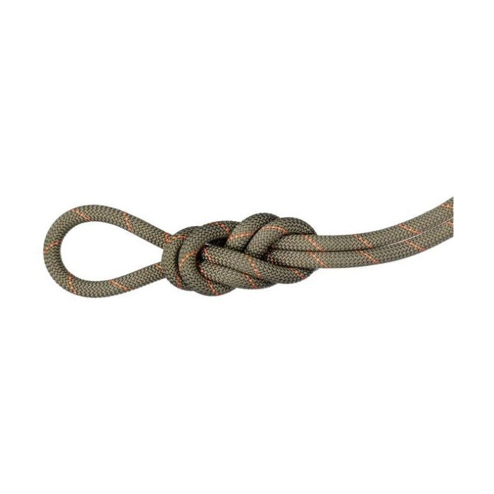mammut-gym-workhorse-classic-9-9mm-40m-boa-white-climbing-rope
