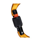 mammut-sender-screwgate-carabiner
