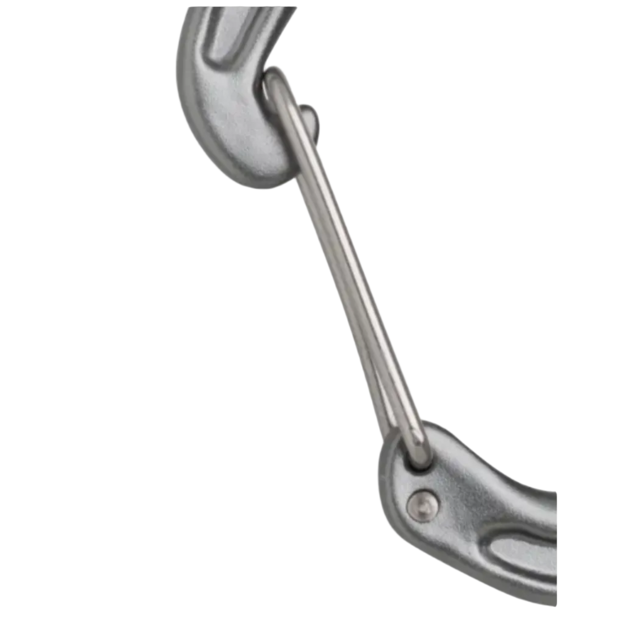 Edelrid Nineteen G Carabiner