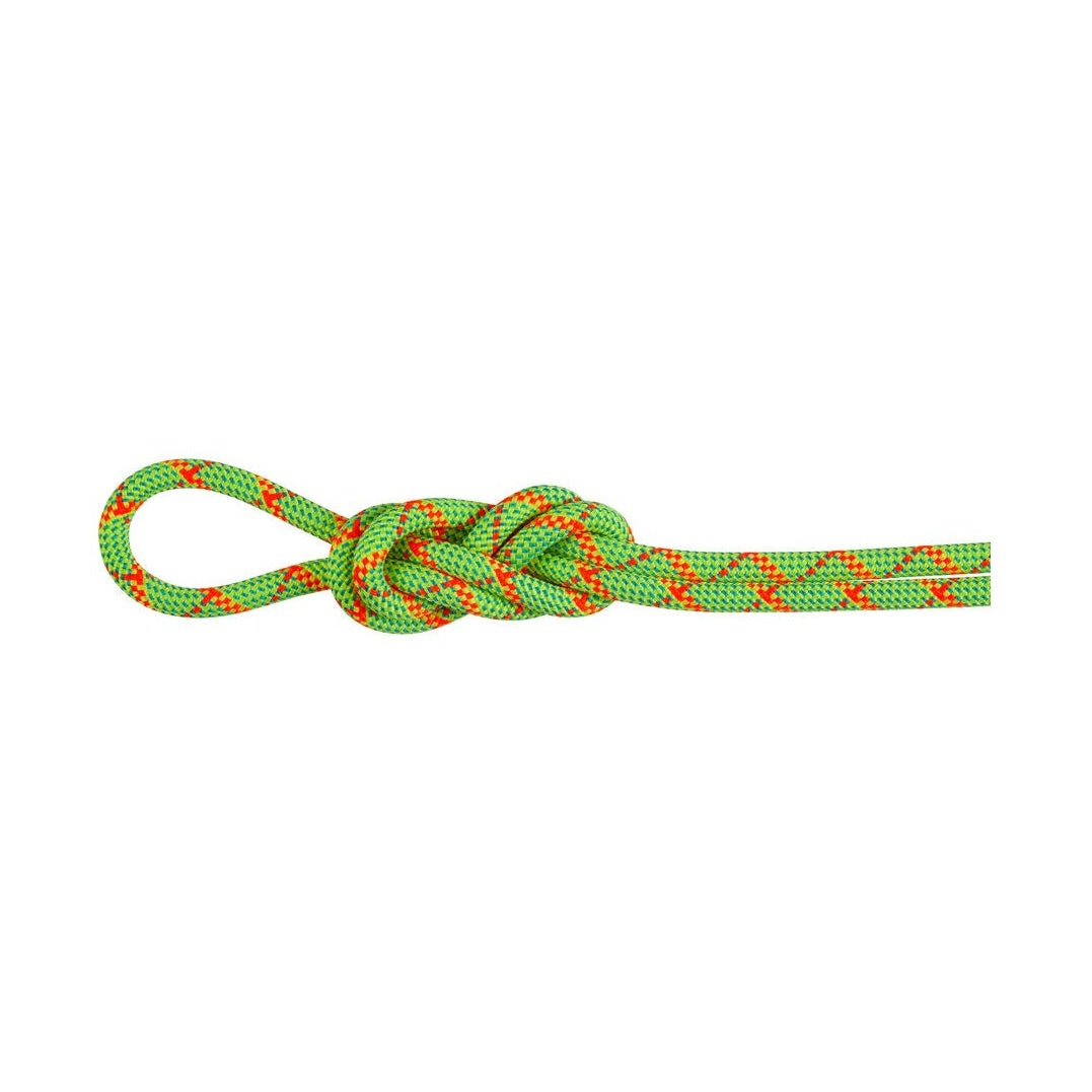 mammut-alpine-core-protect-dry-8mm-70m-climbing-rope