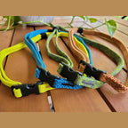 send-on-chalk-bag-belt