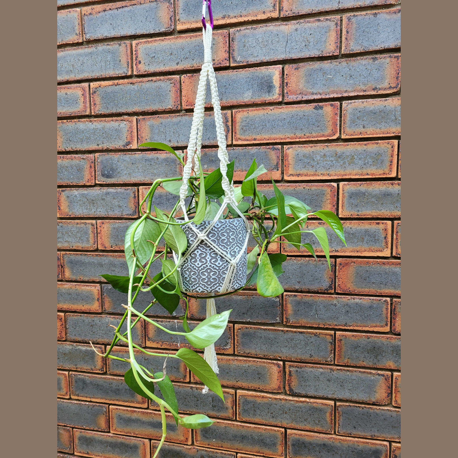 send-on-rope-core-hanging-planter