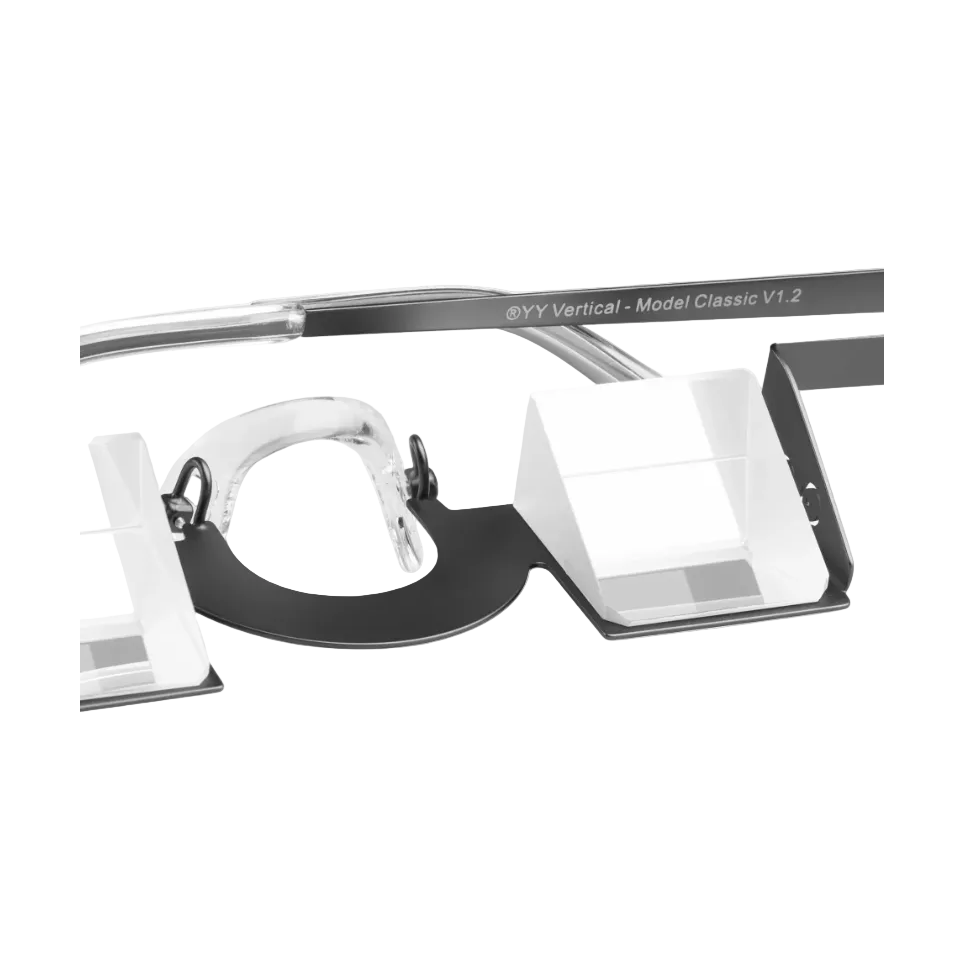 YY Vertical Classic Belay Glasses Steel
