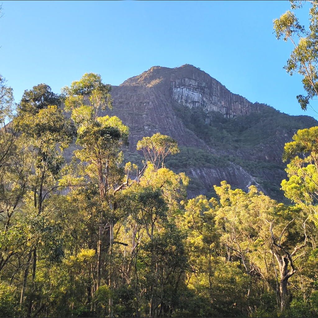 Mount Beerwah Guided Climb (Dates on Request)