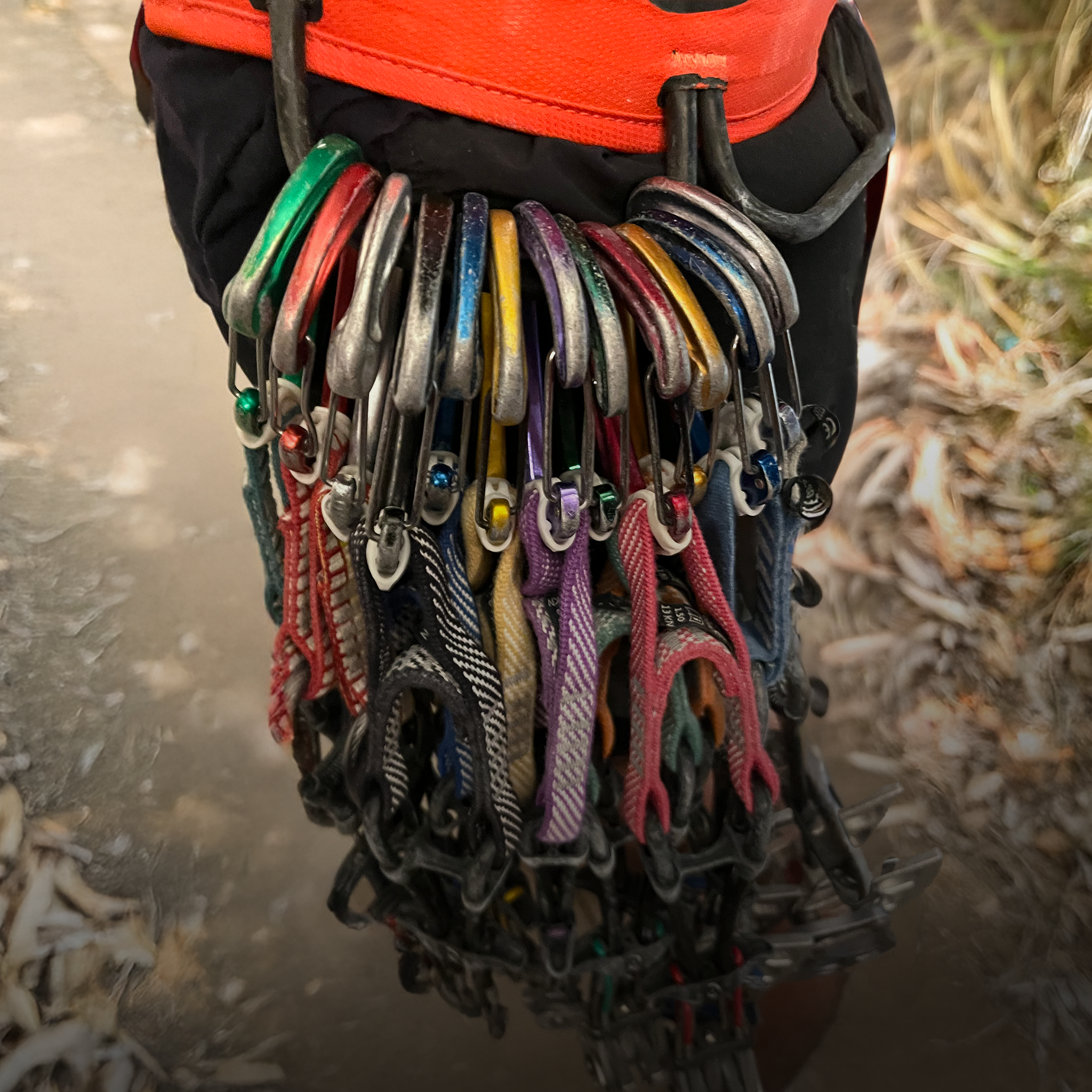 Trad Climbing Workshop